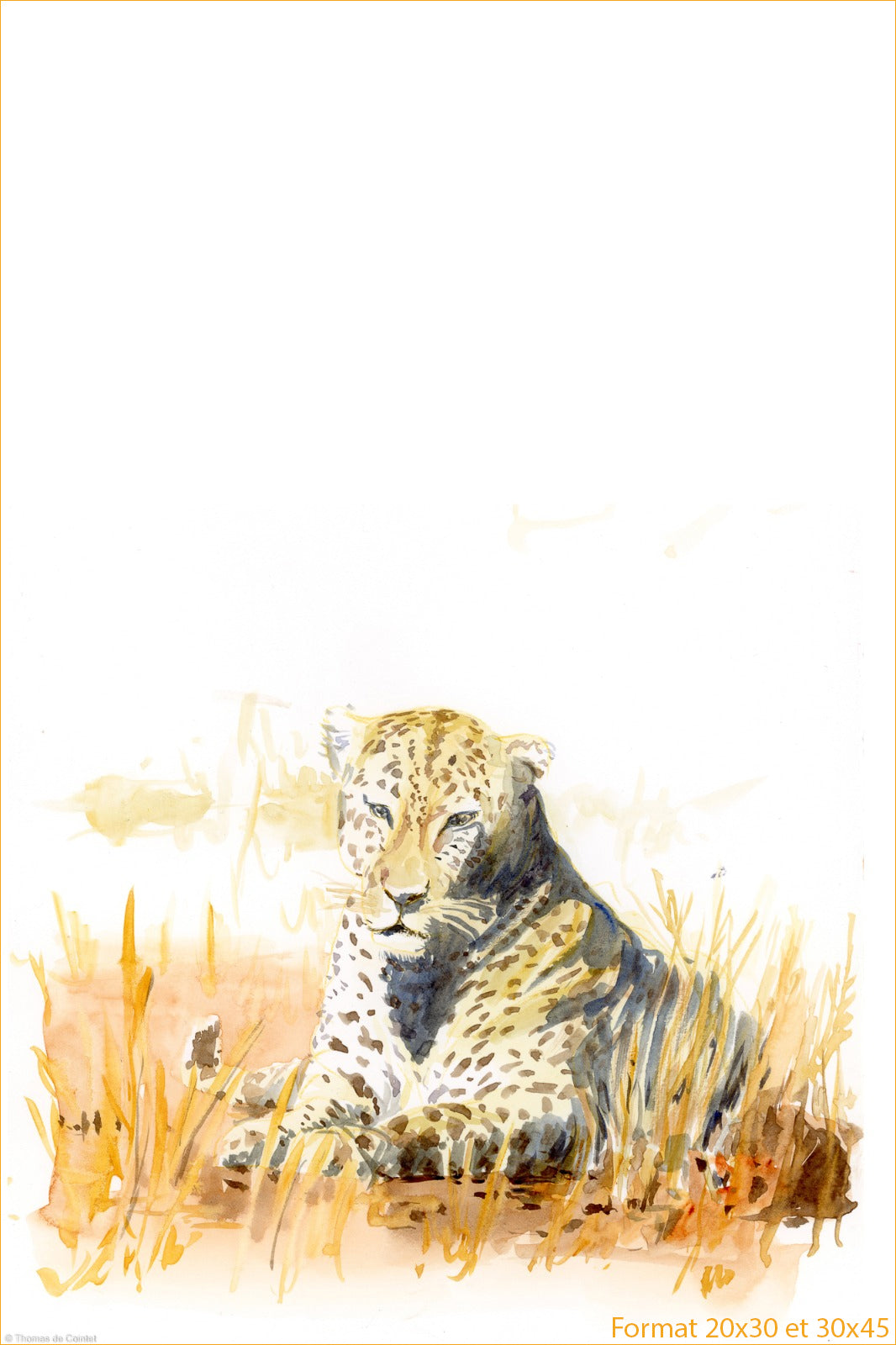 Leopard croisé au sud de l'Akagera National Park
