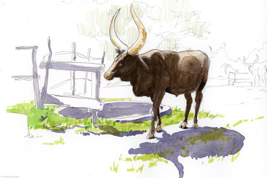 Vache royale au "King Palace Museum" à Nyanza